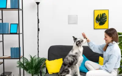 Määräyksillä pyritään takaamaan terveellinen ja turvallinen sisäilma