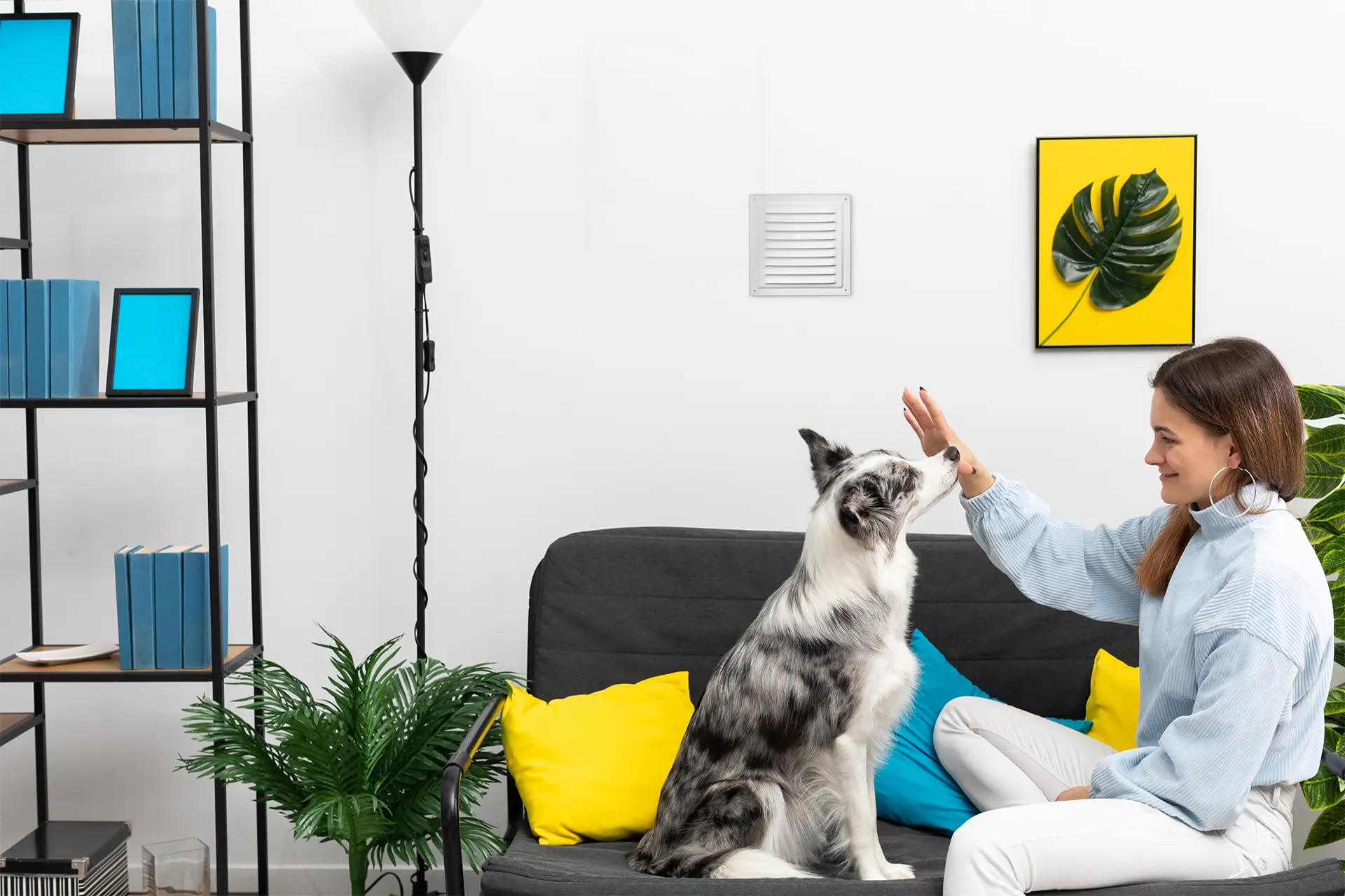 Nainen istuu sohvalla ja leikkii koiran kanssa puhtaassa kodissa.